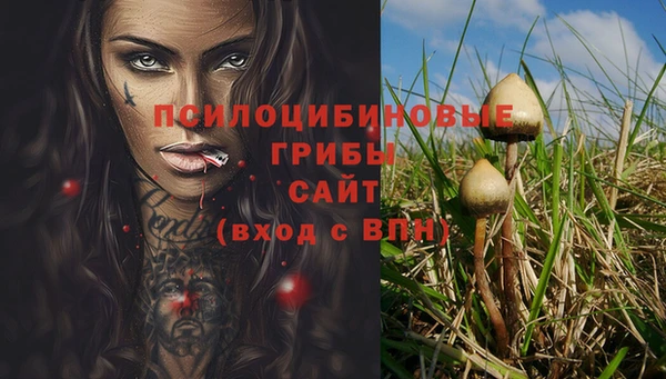 спайс Михайловск
