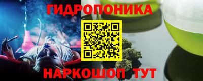 прущие грибы Обь