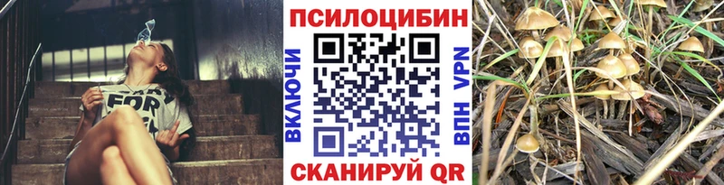 Псилоцибиновые грибы Psilocybe  магазин  наркотиков  Псков 