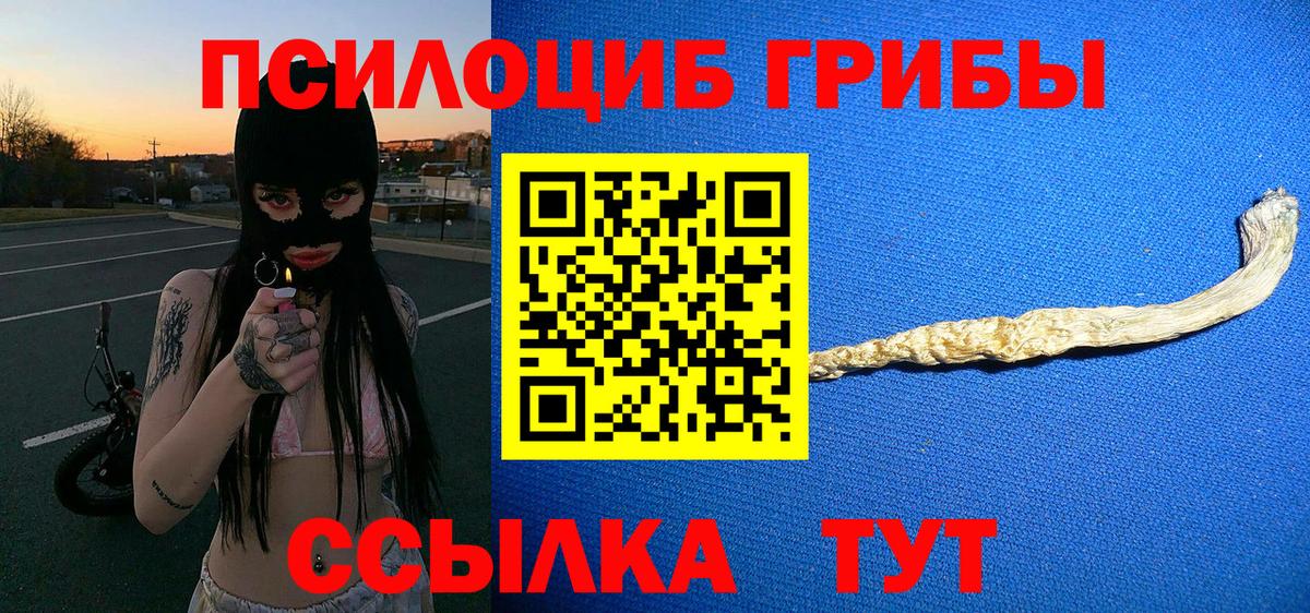 Галлюциногенные грибы мицелий Псков